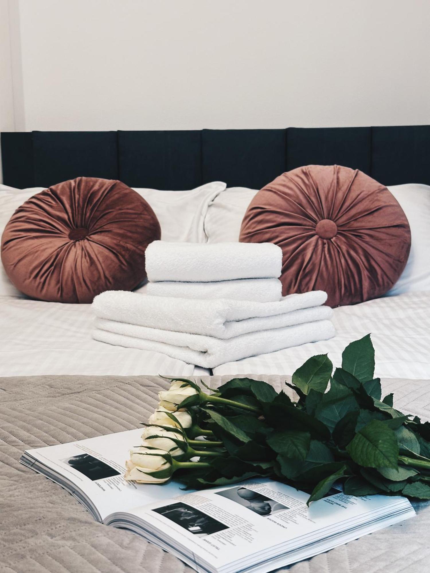 Soft Loft Apartamenty Stary Toruń Extérieur photo